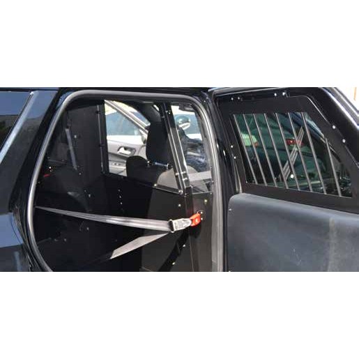 Troy Window Guards - Durango